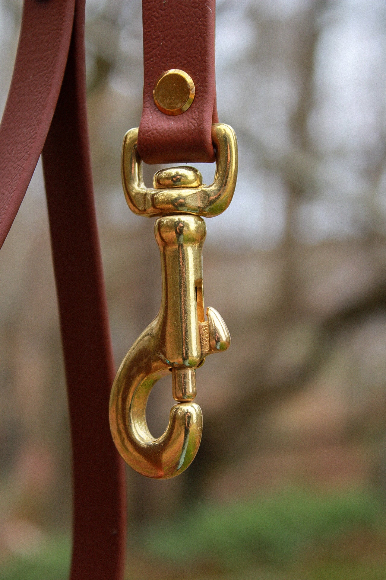 Original Leash