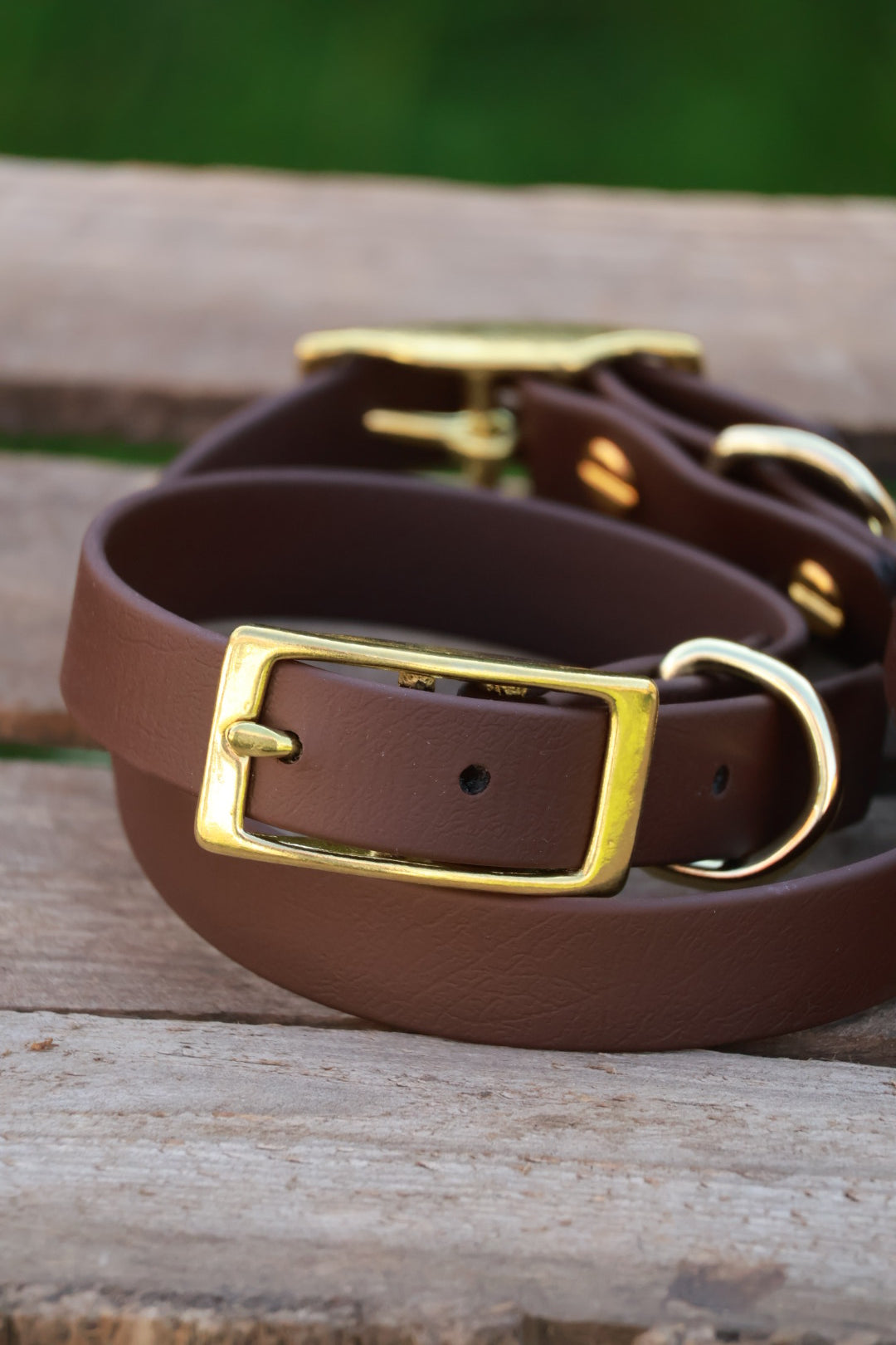 Roam Collar