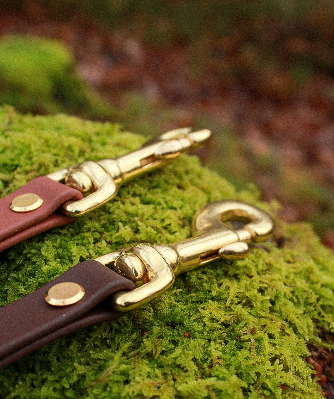 THE ORIGINAL COLLECTION