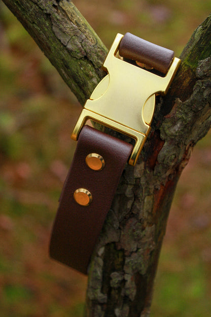 Vattentåligt, brunt fast halsband i Biothane med mässningsdetaljer. 25mm. 