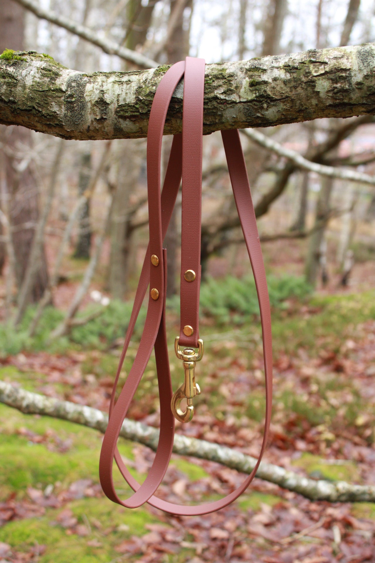 Brunt, vattentåligt hundkoppel i Biothane med mässingsdetaljer. 