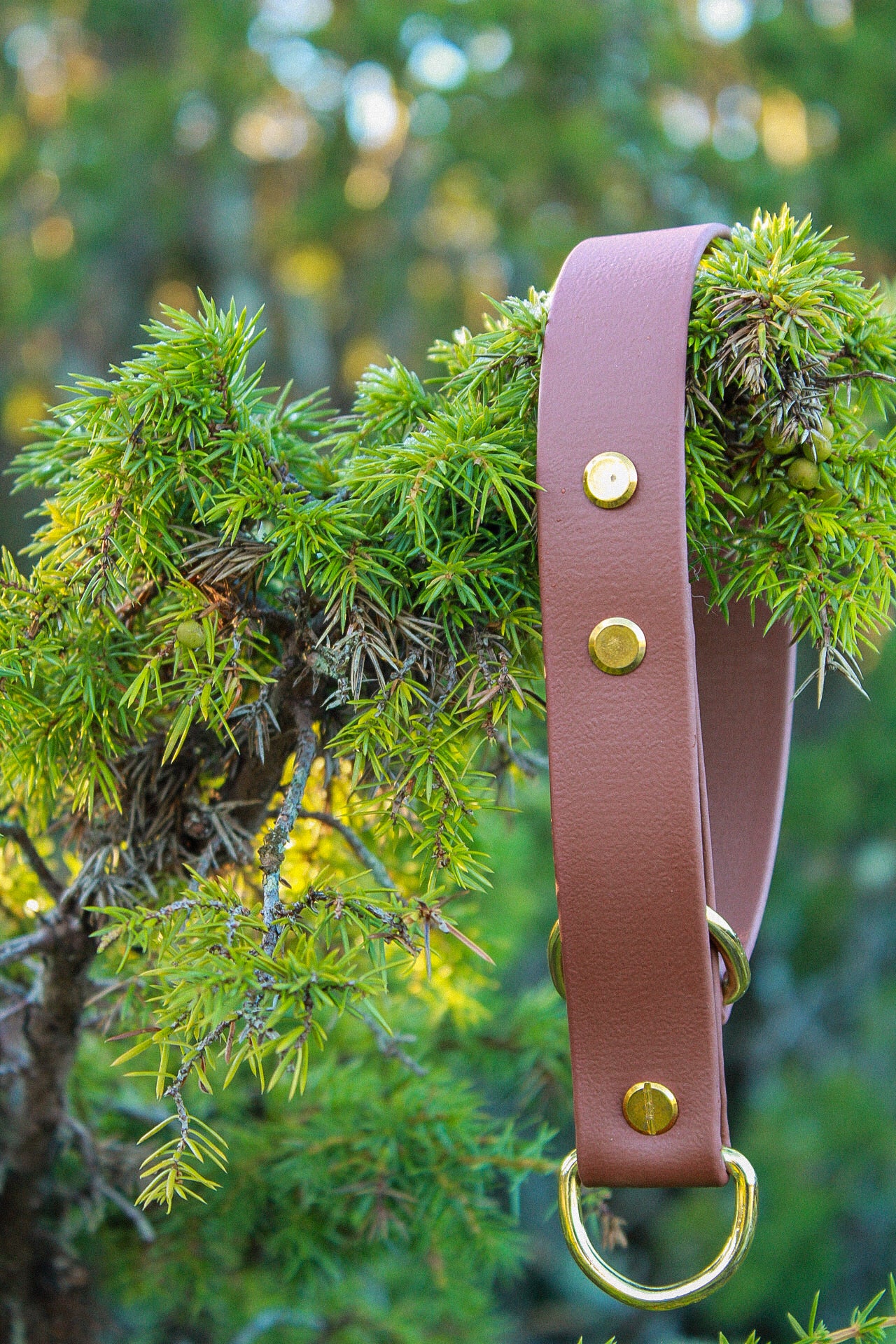 Vattentåligt, brunt halvstryp i BioThane med mässningsdetaljer. 25mm.