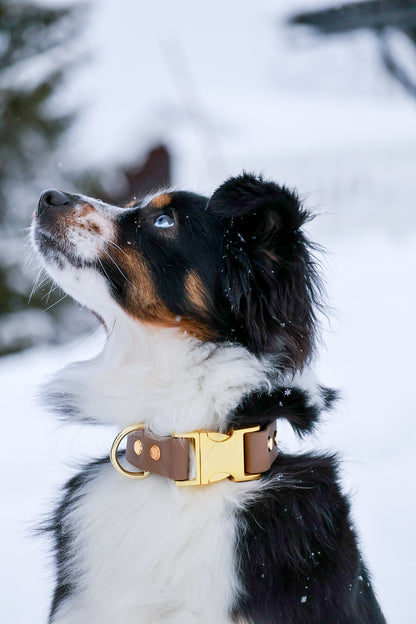 Beige, brunt fast halsband, BioThane, vattentätt, mässing, guld, 25mm.