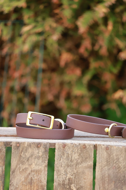Roam Collar