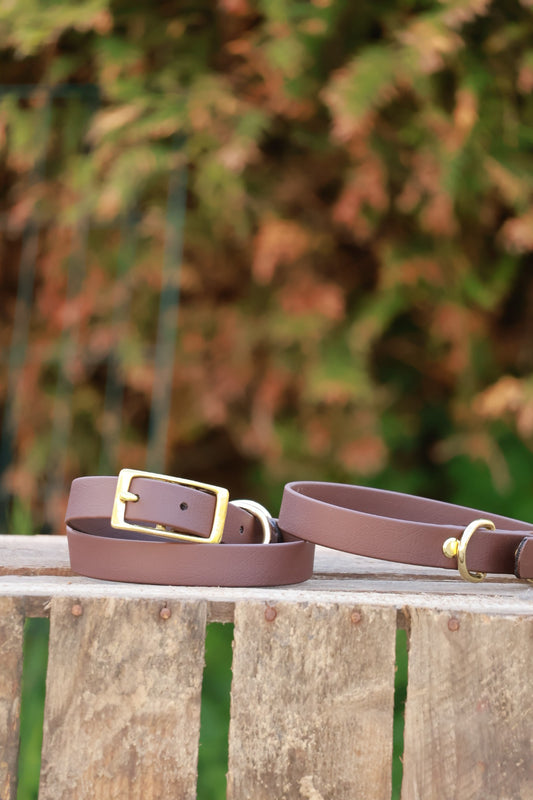 Roam Collar