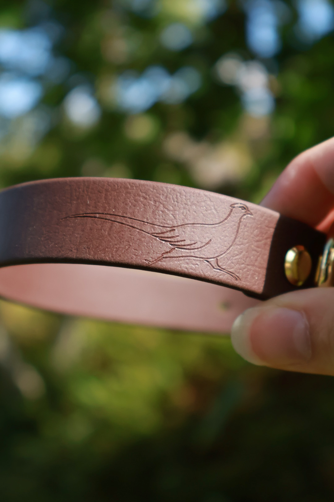 Roam Collar