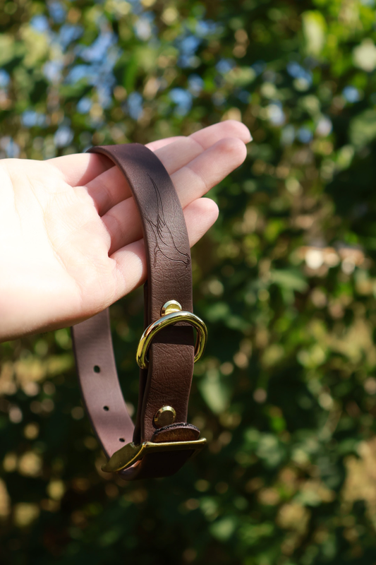Roam Collar