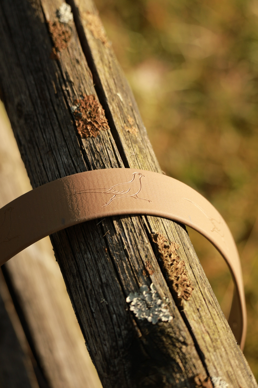 Feathers in the Field - Field Collar
